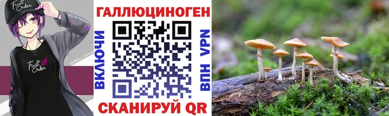 Псилоцибиновые грибы MAGIC MUSHROOMS  Купить закладки  Хилок 